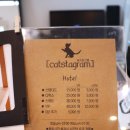 부산고양이미용&호텔 냥스타그램 이미지