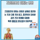 너담 이미지