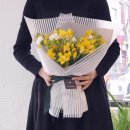 후리지아 이미지