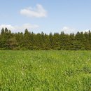 제주 오름 산책 이미지