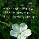 꽃보다 사랑 이미지