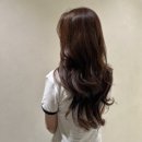 영주동물약품상사 | 해운대미용실 담다헤어 뿌리염색 후기｜레이어드컷 전문, 손상모 케어까지!