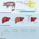 (주)신장바이오 이미지