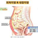 팔층피티