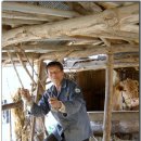 디딜방아 이미지