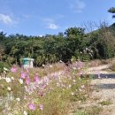 홍익생활건강 이미지