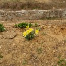 민들래농원 이미지