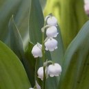 바울농장 이미지