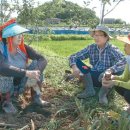 시골마을 이미지