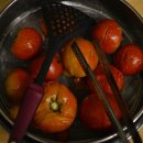 토마토피자 - 강남구 언주로153길 11 | 토마토피자