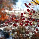 사철농장 이미지