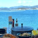 못난이 순두부 이미지