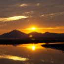 신촌초교 이미지