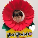 한국체대 효자효녀 태권도 이미지