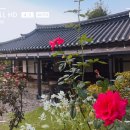 산에는꽃이피네 이미지