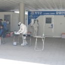 봉평초등학교 이미지