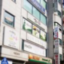 애솔촌돼지