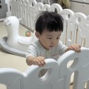 리포소 | 아기 거실매트 추천! 리포소 폴더매트 내돈내산 후기