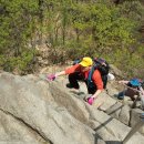 밤나무길 이미지