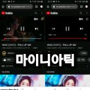 마이니아