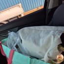 조경기능사 국가기술자격증 과정 B반 | 충북국가자격시험장에서 한식조리기능사 실기 시험 보고 왔어요