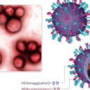 호랑이한의원 이미지