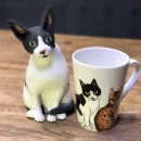 부뚜막고양이