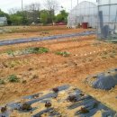 방죽골농장 이미지