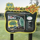 괴산읍 어린이놀이터 이미지