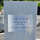 [용인 카페] 뷰 좋고! 맛 좋은! 동탄 인근 카페 '그린웨일'에서 물멍 후기 🐳