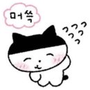 미냥이 | 2026년의 세번째