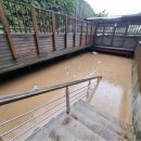 폭우에 유기견 쉼터도 피해를 입었습니다.(헌이불 후원 및 쉼터 보수 후원) 이미지