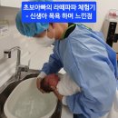 초보아빠의 라떼파파 체험 후기 - 신생아 샤워, 속싸개 싸면서 느낀점[매일운동 347일]