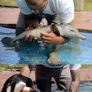 돌고래와펭귄 이미지