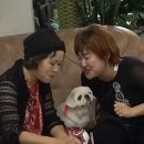 해피미용실 - 광산구 | 해피미용실