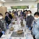 원예교실 이미지