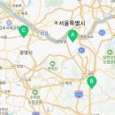 강남 요미독앤캣 강아지 분양 고양이 분양 이미지