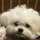 부흥로366번길 부평문화로141번길 | 물욕폭발! 잠시 멈춰진 겨울에서 산책 하기 'ㅡ' 우리가족 단골가게 소개