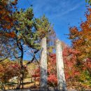 가온메디 이미지