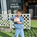 혁신도시주유소 | 음성 아이랑 가볼만한 곳 충북혁신도시 애니멀라이프