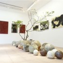 시로(shiro) 이미지