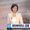 바이러스