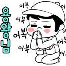 오션투어호