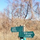 송사리 천지갑산 주차장 이미지