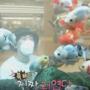 아쿠아가든카페 - 양주시 천보산로5번길 3 | 아쿠아가든카페