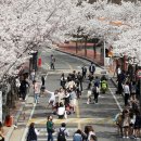 계명대학교행소박물관 이미지