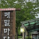메밀마당 - 노원구 동일로217가길 39 | 메밀마당