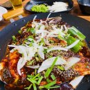 수아리아리애견 이미지