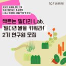 밀둠벙 | '2025 싹트는 밀다리 Lab. <밀다리쌀을 키워라>' 취재 후기