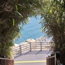 등대쉼터 | 여수 가볼만한곳 오동도 동백꽃, 개화시기부터 등대·동백차 쉼터까지 정리